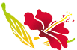 aikon01.gif