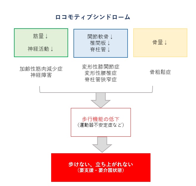 ロコモティブシンドローム.jpg